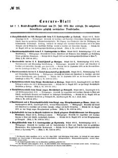 Verordnungsblatt für das Kaiserlich-Königliche Heer 18751231 Seite: 91