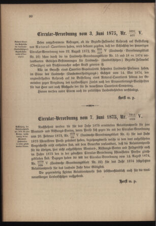 Verordnungsblatt für die Kaiserlich-Königliche Landwehr 18750618 Seite: 4