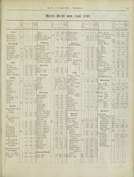 Amtsblatt der landesfürstlichen Hauptstadt Graz 18980630 Seite: 13