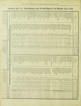 Amtsblatt der landesfürstlichen Hauptstadt Graz 18980720 Seite: 12