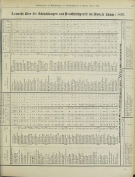 Amtsblatt der landesfürstlichen Hauptstadt Graz 18990228 Seite: 25