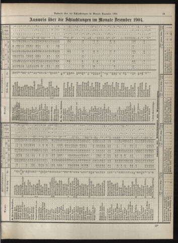 Amtsblatt der landesfürstlichen Hauptstadt Graz 19050210 Seite: 19