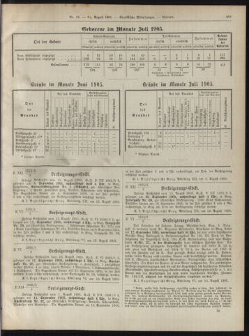 Amtsblatt der landesfürstlichen Hauptstadt Graz 19050831 Seite: 17