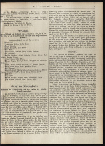 Amtsblatt der landesfürstlichen Hauptstadt Graz 19110110 Seite: 29