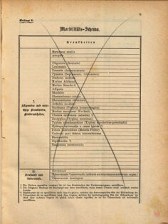 Kaiserlich-königliches Marine-Normal-Verordnungsblatt 18691231 Seite: 17