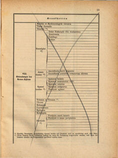 Kaiserlich-königliches Marine-Normal-Verordnungsblatt 18691231 Seite: 21