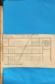 Kaiserlich-königliches Marine-Normal-Verordnungsblatt 18711129 Seite: 55