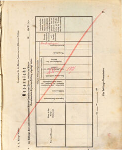 Kaiserlich-königliches Marine-Normal-Verordnungsblatt 18731229 Seite: 31