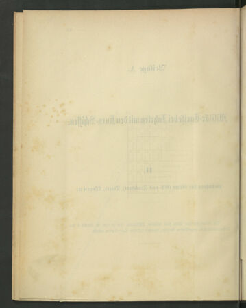 Kaiserlich-königliches Marine-Normal-Verordnungsblatt 18790529 Seite: 38