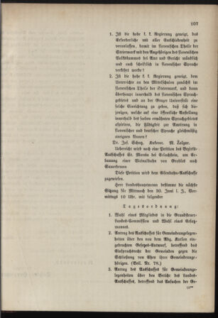 Stenographische Protokolle über die Sitzungen des Steiermärkischen Landtages 18800628 Seite: 29