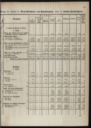 Stenographische Protokolle über die Sitzungen des Steiermärkischen Landtages 1880bl01 Seite: 133