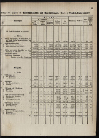 Stenographische Protokolle über die Sitzungen des Steiermärkischen Landtages 1880bl01 Seite: 135