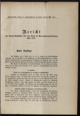 Stenographische Protokolle über die Sitzungen des Steiermärkischen Landtages 1880bl01 Seite: 425