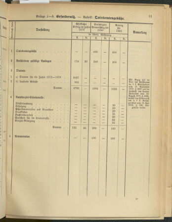 Stenographische Protokolle über die Sitzungen des Steiermärkischen Landtages 1880bl01 Seite: 493