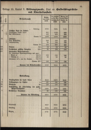 Stenographische Protokolle über die Sitzungen des Steiermärkischen Landtages 1880bl01 Seite: 571