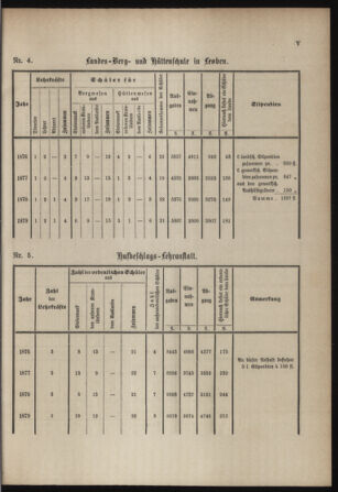 Stenographische Protokolle über die Sitzungen des Steiermärkischen Landtages 1880bl01 Seite: 767