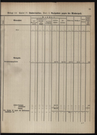 Stenographische Protokolle über die Sitzungen des Steiermärkischen Landtages 1880bl01 Seite: 863