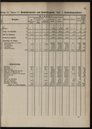 Stenographische Protokolle über die Sitzungen des Steiermärkischen Landtages 1880bl01 Seite: 919