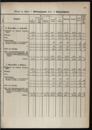 Stenographische Protokolle über die Sitzungen des Steiermärkischen Landtages 1880bl01 Seite: 97