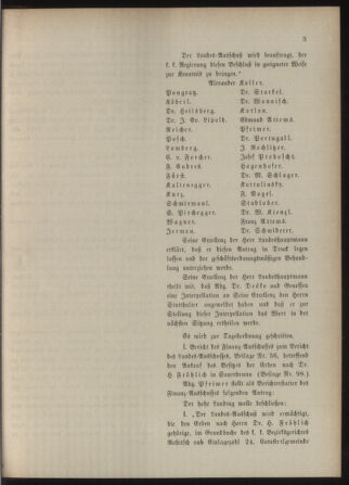 Stenographische Protokolle über die Sitzungen des Steiermärkischen Landtages 18930422 Seite: 13