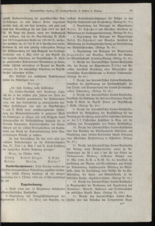 Stenographische Protokolle über die Sitzungen des Steiermärkischen Landtages 19041005 Seite: 13