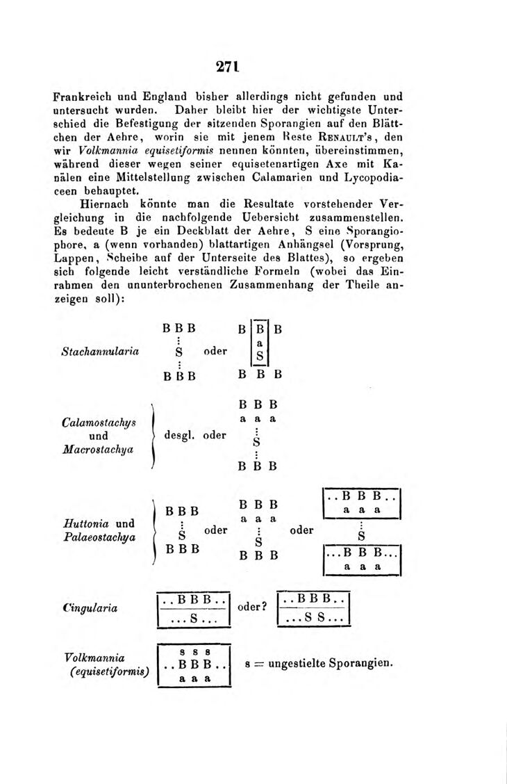 Vollanzeige