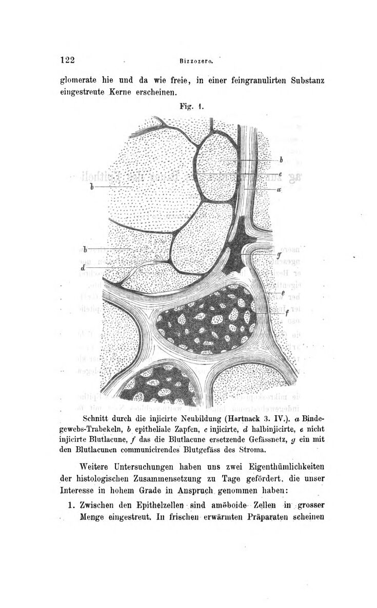 Vollanzeige